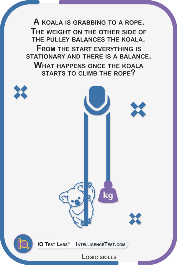 A koala is grabbing to a rope. What will happen once the koala starts to climb up?