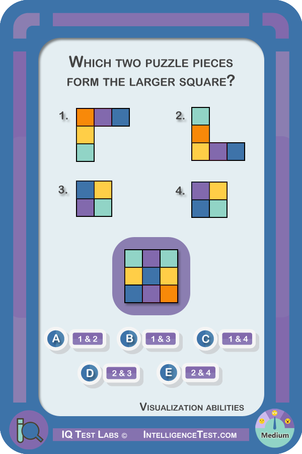 Which two puzzle pieces form the larger square?